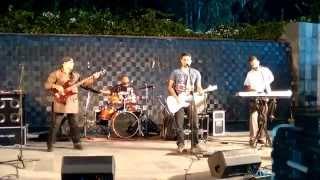 Sultans of Swing Live cover Darren Netto