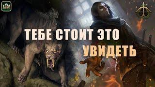 ШИРРУ и УНИЧТОЖЕНИЕ карт противника (Ширру, Саблезубый тигр, Саския) [НЕ ГАЙД] Гвинт | Gwent 10.9