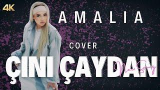 AMALIA - Çini çaydan (cover)