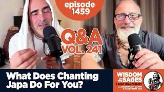 1459: What Does Chanting Japa Do For You? / Q&A Volume 241