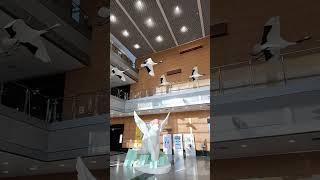 국립생물자원관 생생채움관의 동물들 #shorts