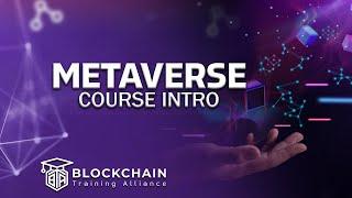 Metaverse Course Preview