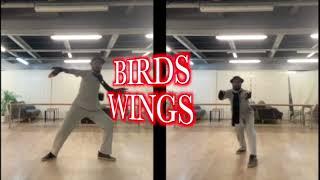 Birds Wings (tai ji quan) #artmartial #artmartiaux #martialarts