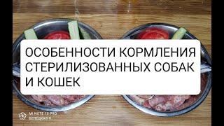 ОСОБЕННОСТИ КОРМЛЕНИЯ СТЕРИЛИЗОВАННЫХ СОБАК И КОШЕК ‍⬛