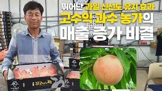 과일 신선도 유지에 탁월한 효과! 고수익 과수 농가의 매출 비결 공개