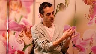 Automasajul terapeutic al palmelor