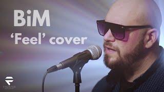 Robbie Williams - Feel (BiM Cover)