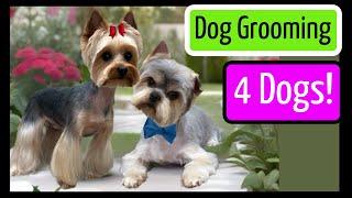 Saturday 3/8/25 Just a DOG GROOMER GROOMING DOGS! A behind the scenes at a busy pet grooming salon!