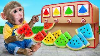 KiKi Monkey explore Tasty Colorful Watermelon Ice Cream Vending Machine | KUDO ANIMAL KIKI