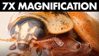 Handheld Macro Photography at 7x magnification – Possible or not?