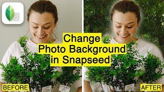 How to Change Photo Background Using Snapseed! [2023]