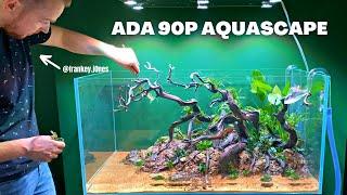 DUTCH GUY SHOWS HIS AMAZING AQUASCAPE COLLECTION (HOME TOUR)