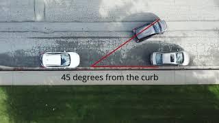 Bird's Eye View: How to Parallel Park like a Pro