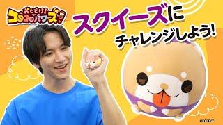 おとどけ！コロコロパワーズ！ぷにぷにスクイーズ遊び方紹介動画