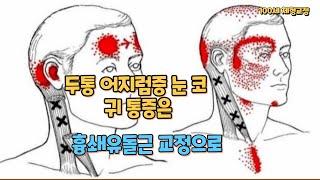 흉쇄유돌근 마사지