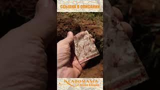 ЭТО изменит ваш поиск! Сравнение программ Minelab Manticore – неожиданный лидер! КЛАДОМАНИЯ #shorts