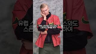 엘링 홀란드의 수입