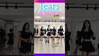 #티얼스 라인댄스#소찬휘#TearsLinedance #고양시화정