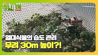 아찔한 높이 공중 30m ‘열대식물 습도 관리’ ㅣ생방송 투데이(Live Today)ㅣSBS Story