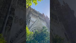 Seville cathedral｜Seville｜Spain
