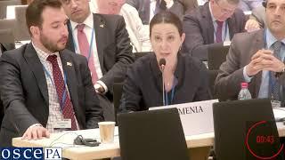 Maria Karapetyan (Armenia) 6 July, 09 30   11 00 General Committee on Political Affairs and Security