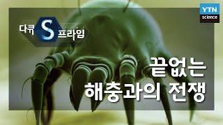 끝없는 해충과의 전쟁 [다큐S프라임] / YTN 사이언스