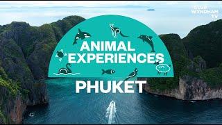 Animal Experiences: Phuket Thailand