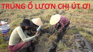 373 / Cách Bắt Lươn Mùa Cắt Lúa  Ở Miền Tây