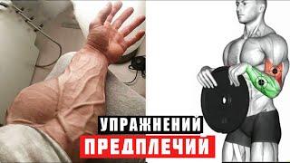 5 ЛУЧШИХ Упражнений Для Больших Предплечий