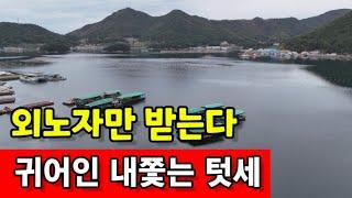 젊은 귀어인 내쫓는 어촌텃세  외노자만 받다가 노인과 바다뿐