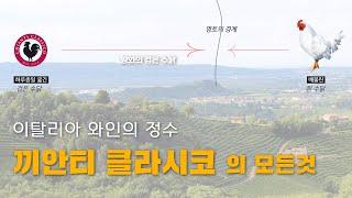이탈리아 와인 (끼안티 클라시코)의 모든 것
