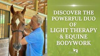 Discover the Powerful Duo of Light Therapy and Equine Bodywork