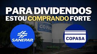 SANEPAR ou COPASA Qual a MELHOR PARA DIVIDENDOS? SAPR11 SAPR4 SAPR3 CSMG3 setor PERENE SANEAMENTO