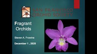 Dec 1 2020 SFOS Zoom meeting with Steve Frowine speaking on Fragrant Orchids