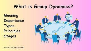 What is Group dynamics? | Meaning, Types, Importance, Stages