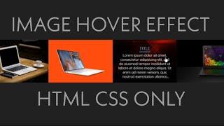 Image Hover Effect Pure CSS | Image Hover With Caption | HTML CSS O ly