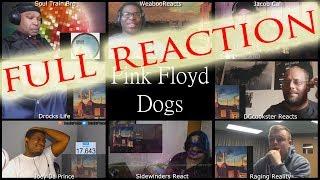 FULL MULTI REACTION Pink Floyd Dogs / MULTI REACT-A-THON