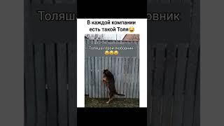 #толя