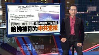 培育许多中国共产党官员 《华尔街日报》：哈佛被称为“中共党校”   | 新闻报报看 02/06/2025