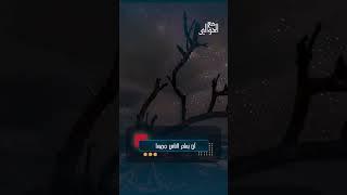 الزواج الاسلامي | سفر الحوالي