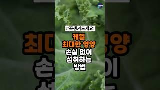 케일 절대로 그냥 먹지마세요!케일 최대한 영양 손실 없이 섭취하는 방법.케일은 드시는 방법에 따라 영양소가 달라질수있습니다!(케일 효능 건강 정보)#케일효능 #케일 #건강