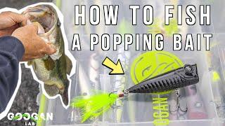 HOW TO FISH a POPPING Style BAIT! ( GOOGAN HOUND )