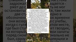 история #жизнь #анекдоты #этожизнь #юмор #продлижизнь #семья #смехпродлеваетжизнь #любовь