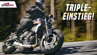 Kann sie immer noch überzeugen? Test Triumph Trident 660 und Naked Bike Vergleich 2023