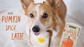 PUMKIN SPICE LATTE(INSTANT) for DOGS - SAMCORGI