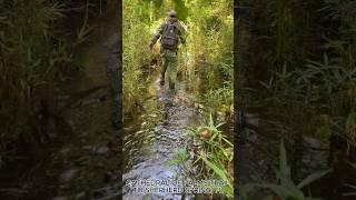 Cathedral of Palms Trail to Shepherd Spring, Florida. #science #biology #adventure #wakulla