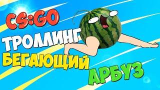 CS:GO троллинг: "Бегающий арбуз"