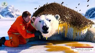 Polar Bear Covered in Millions of Bees Rescued by Safe Haven Animal Rescue Wildlife Survival Mission