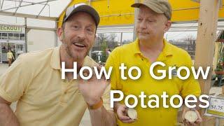 Let's Grow Together: How To Grow Potatoes