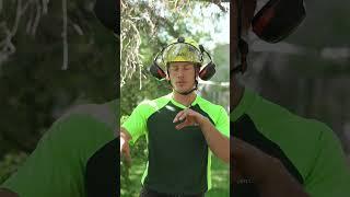  Arborist Lingo 101: Do You Know These Terms?  #treecareexperts #calgarytreeservice